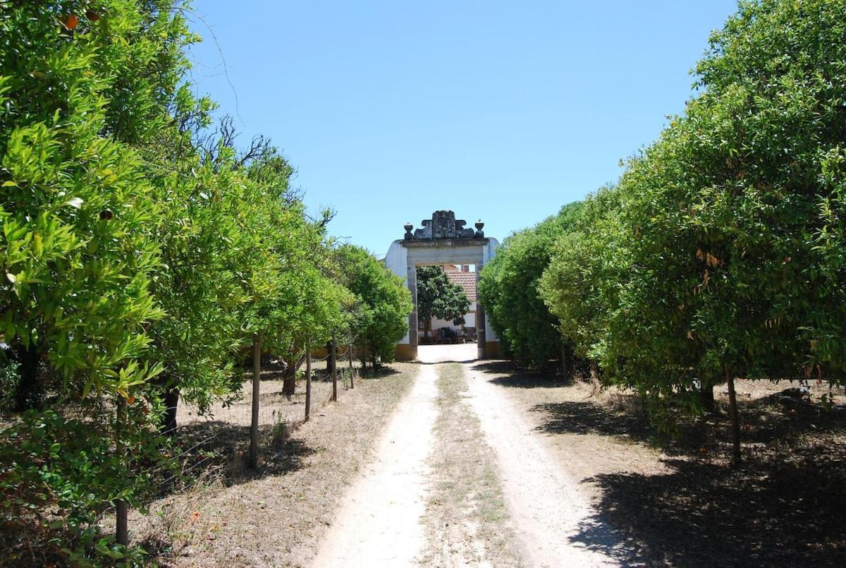 Quinta Do Casalinho - Benfica Do Ribatejo别墅 外观 照片