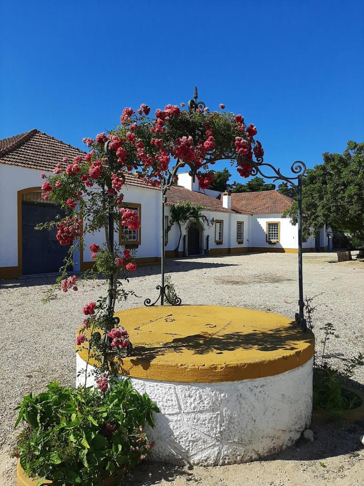 Quinta Do Casalinho - Benfica Do Ribatejo别墅 外观 照片